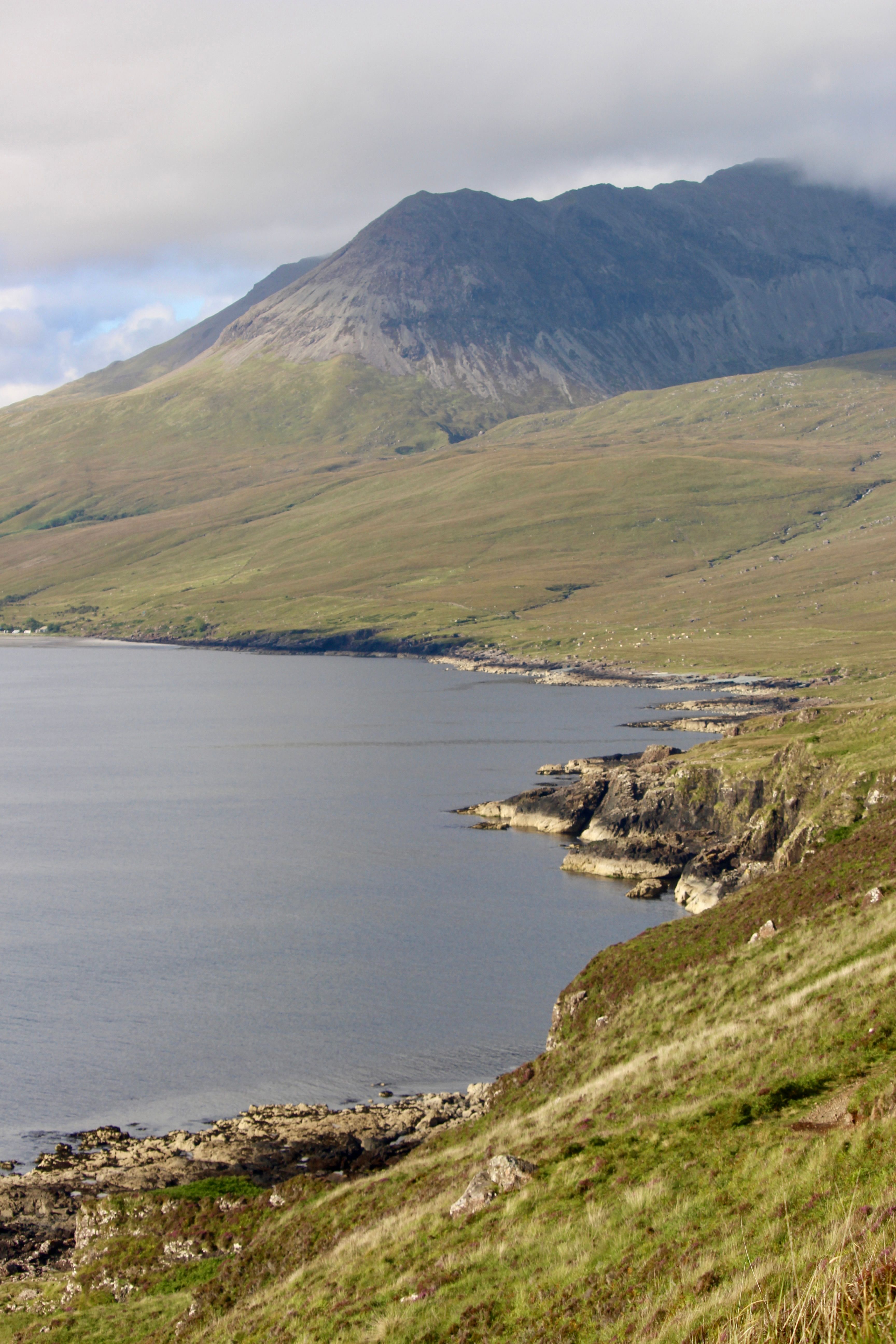 A serene fjord landscape featuring grassy hills, rugged mountains, and a calm sea under a cloudy sky.