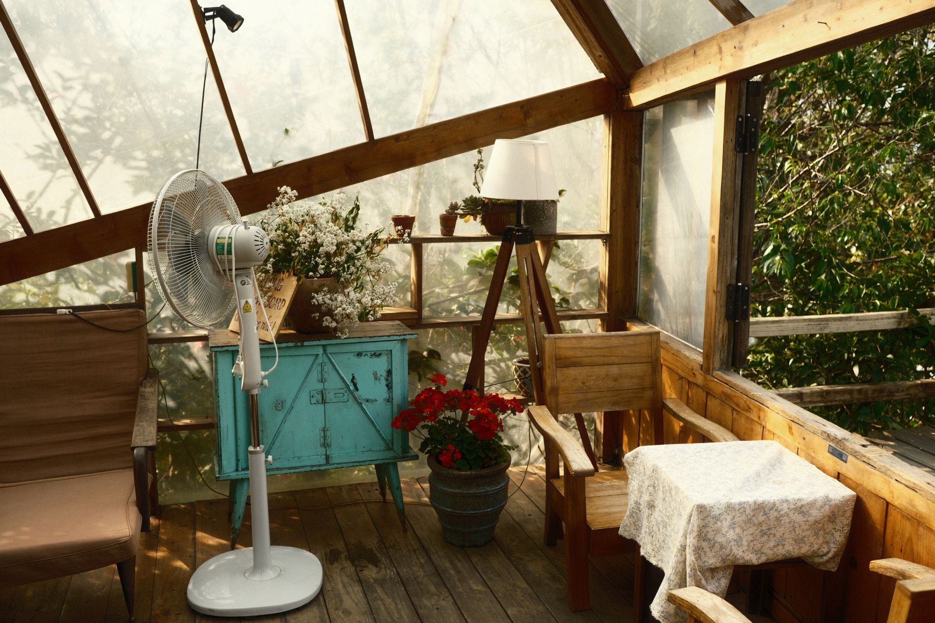 Rustic indoor greenhouse corner with wooden furniture and fan.