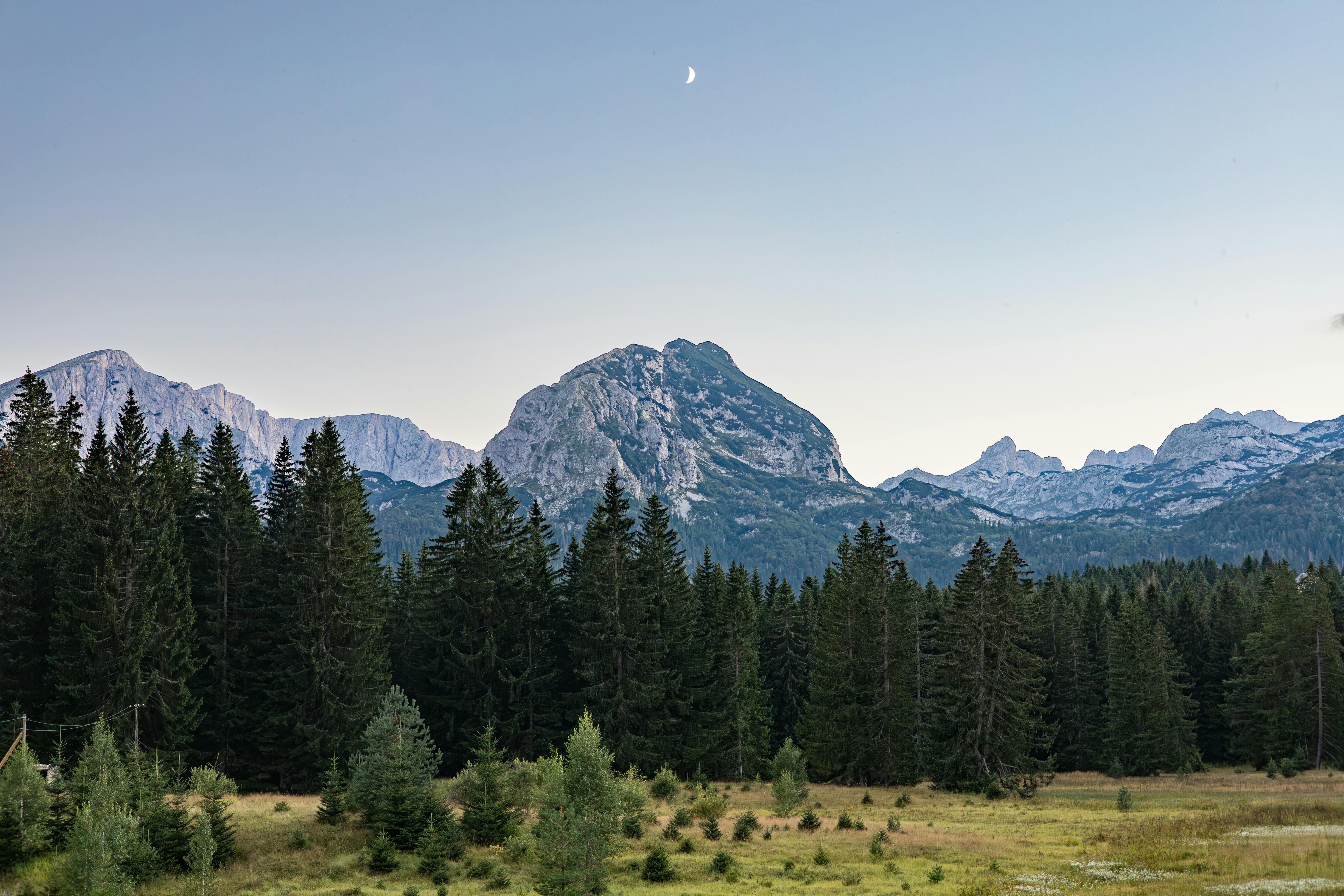 a mountain range with trees and a moon