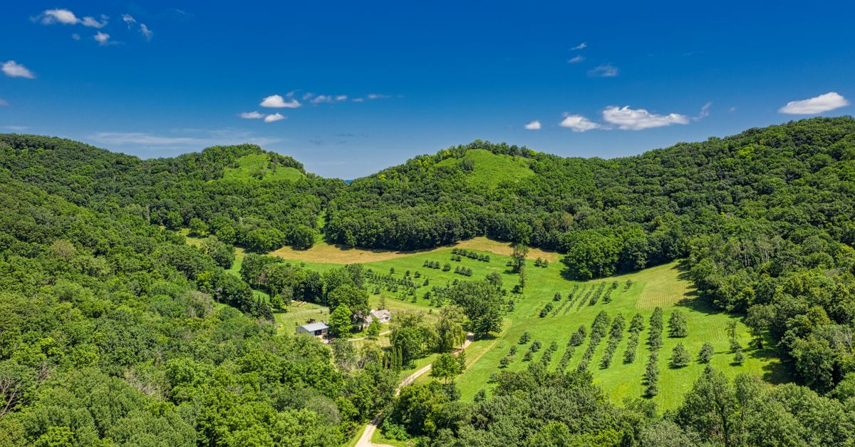 Vibrant aerial view of rural farmland in Dakota, MN surrounded by green hills.