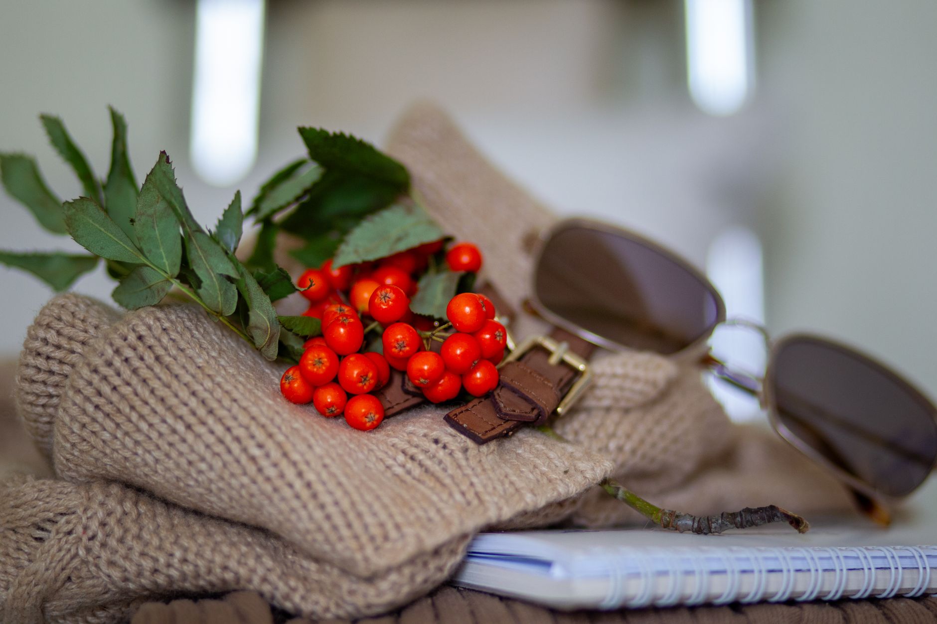 Warm autumn still life featuring red rowan berries, woolen fabric, sunglasses, and a notepad.