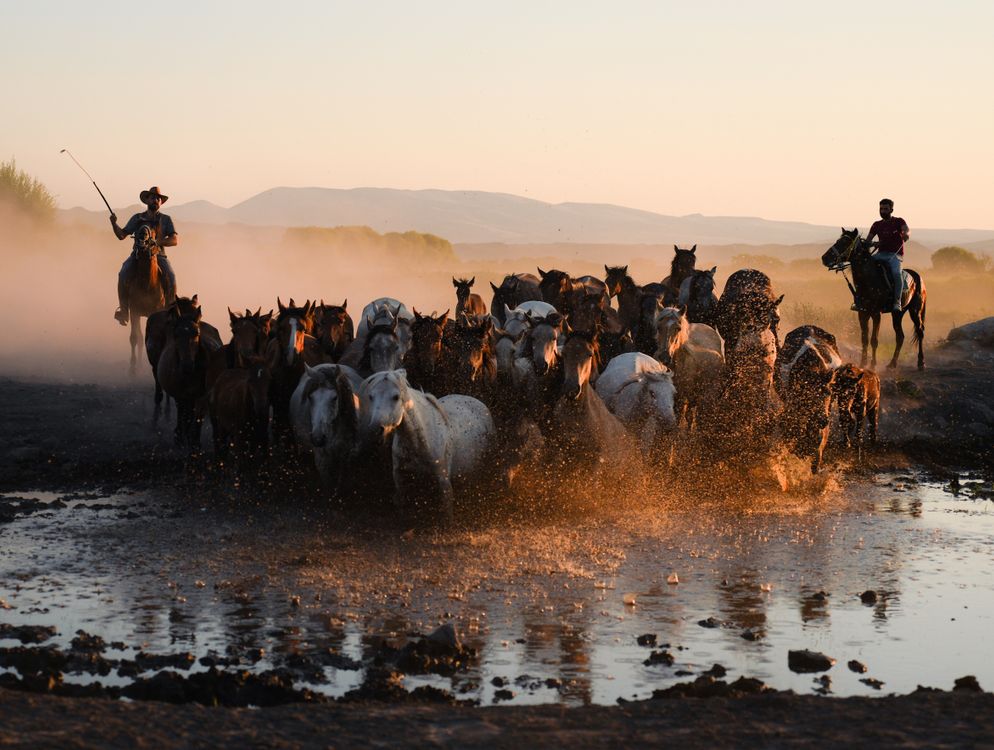 Man Riding A Burrough A man riding a horse through a muddy water · Free Stock Photo