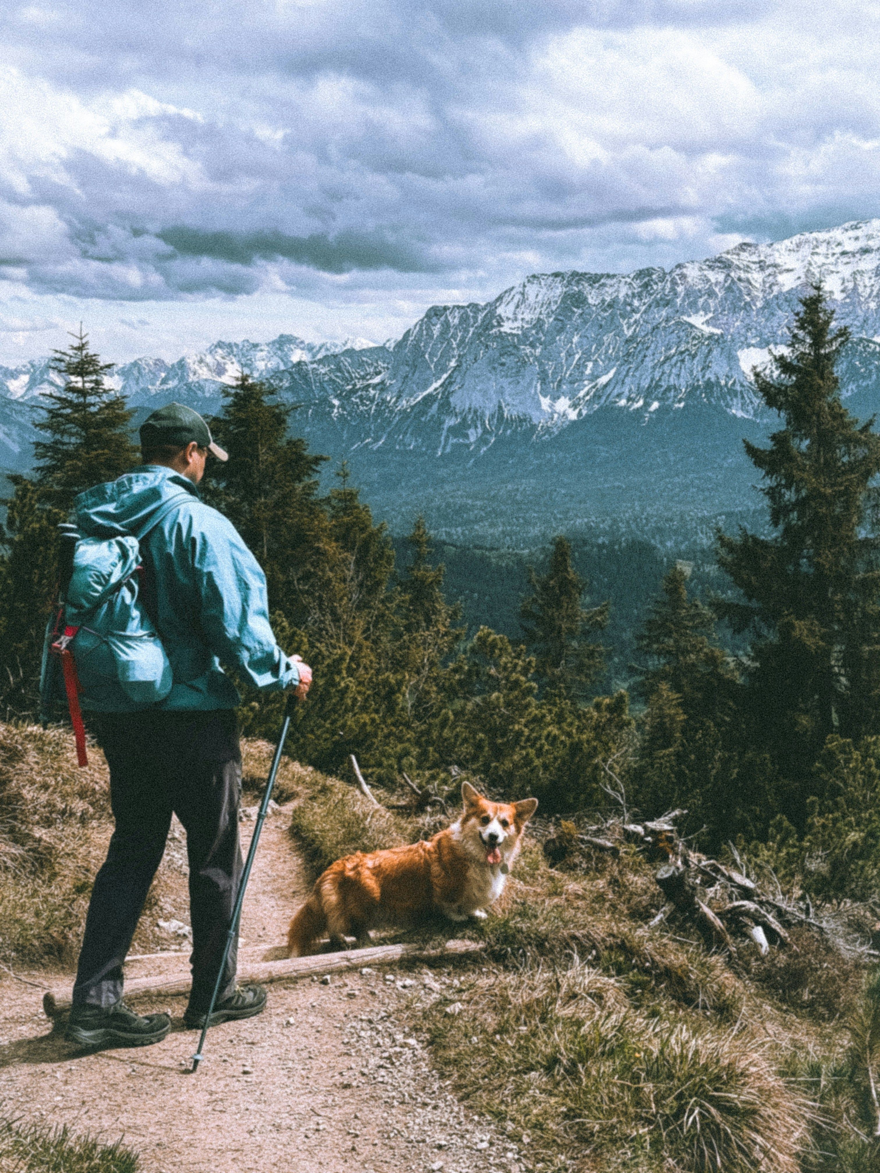 A man hiking with his dog on a trail in the mountains · Free Stock Photo