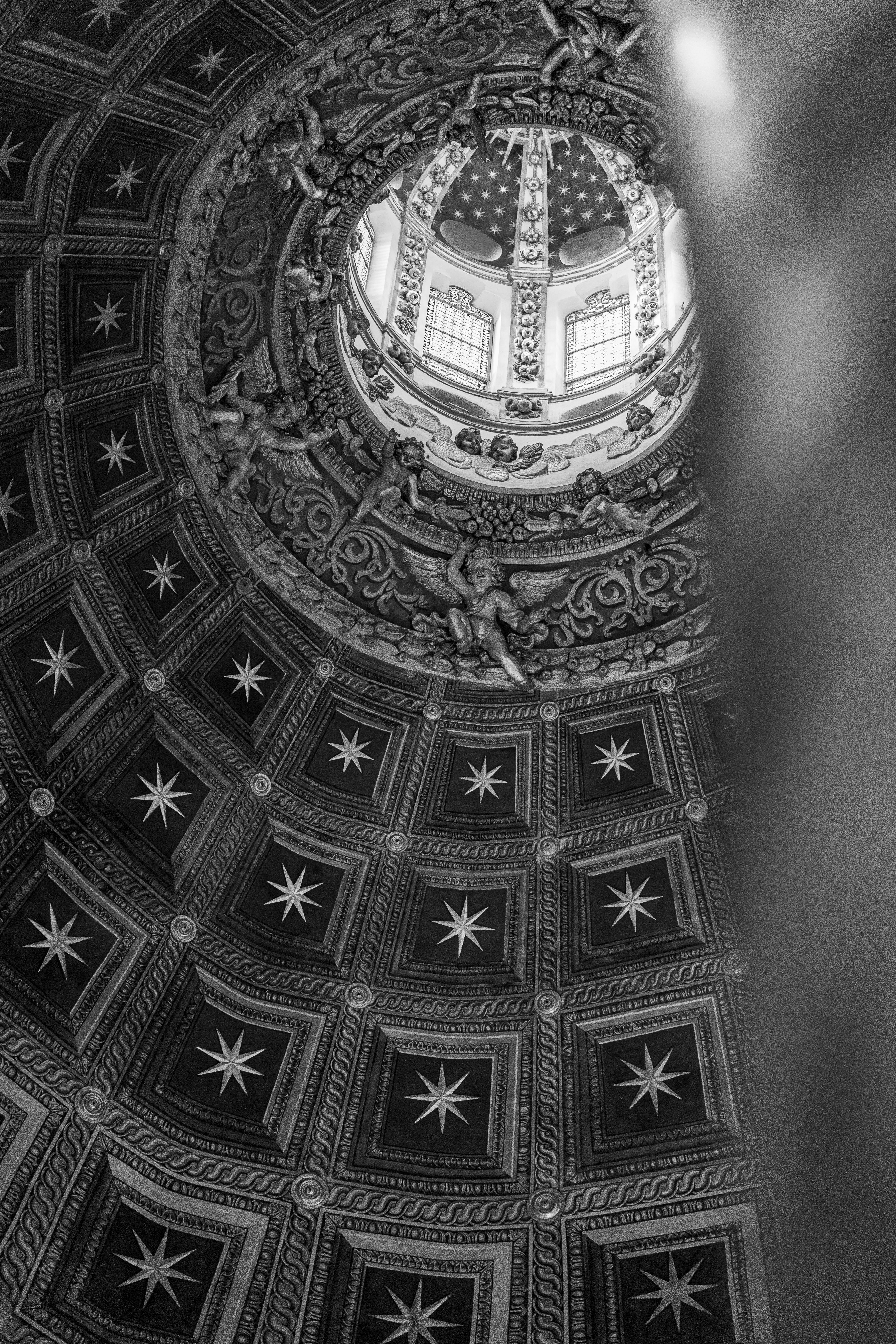 Renaissance: Rebirth and Rediscovery