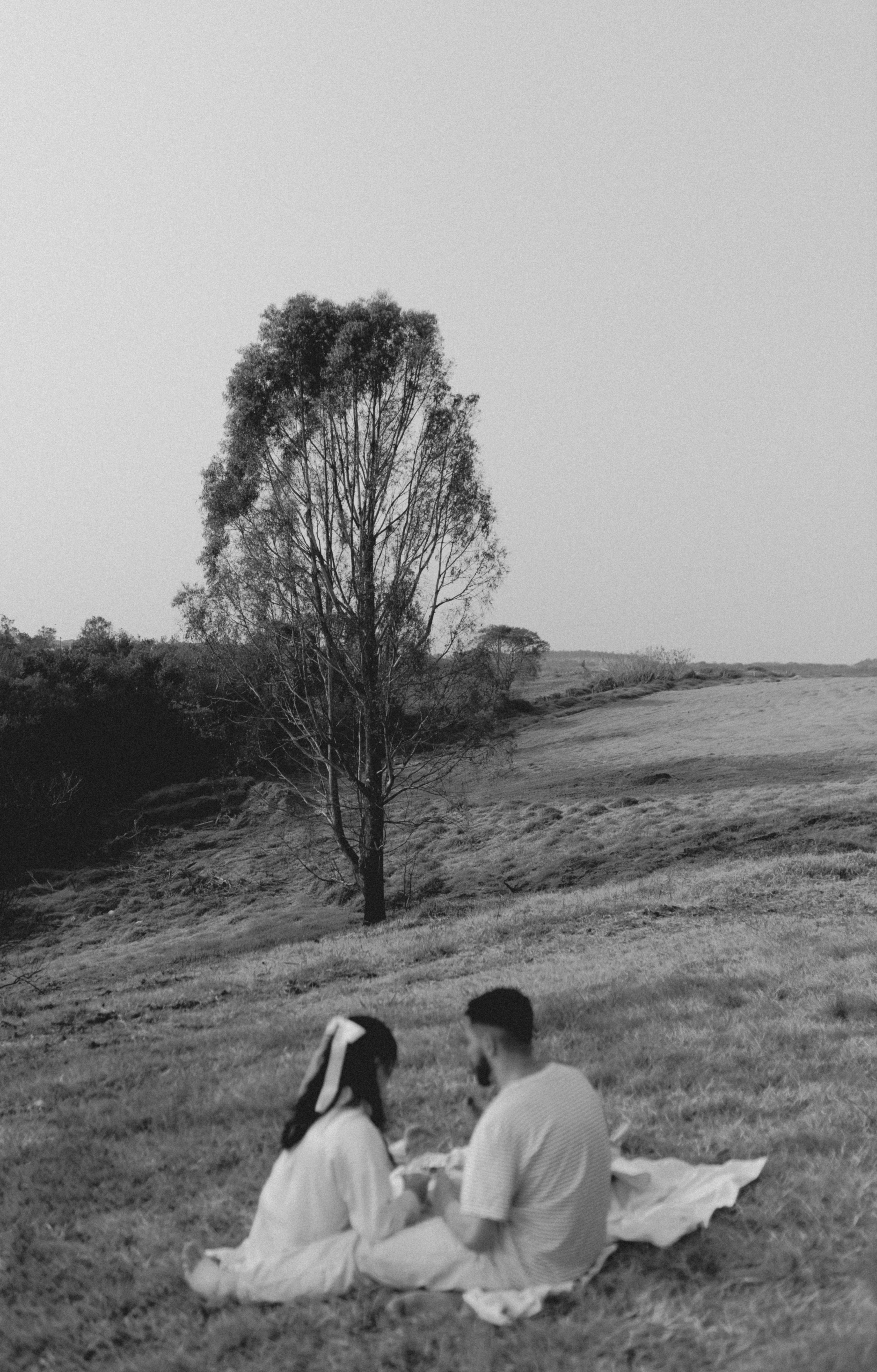 couple sitting on blanket on grass having a picnic