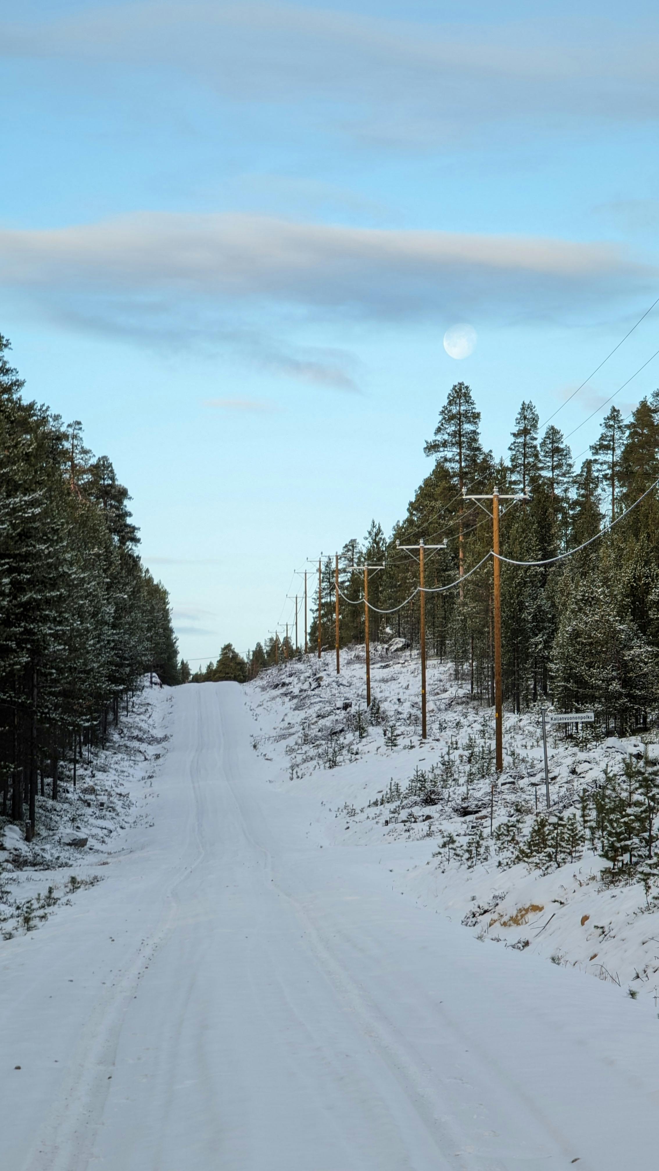 A serene winter forest scene with a snow-covered road and moon overhead.