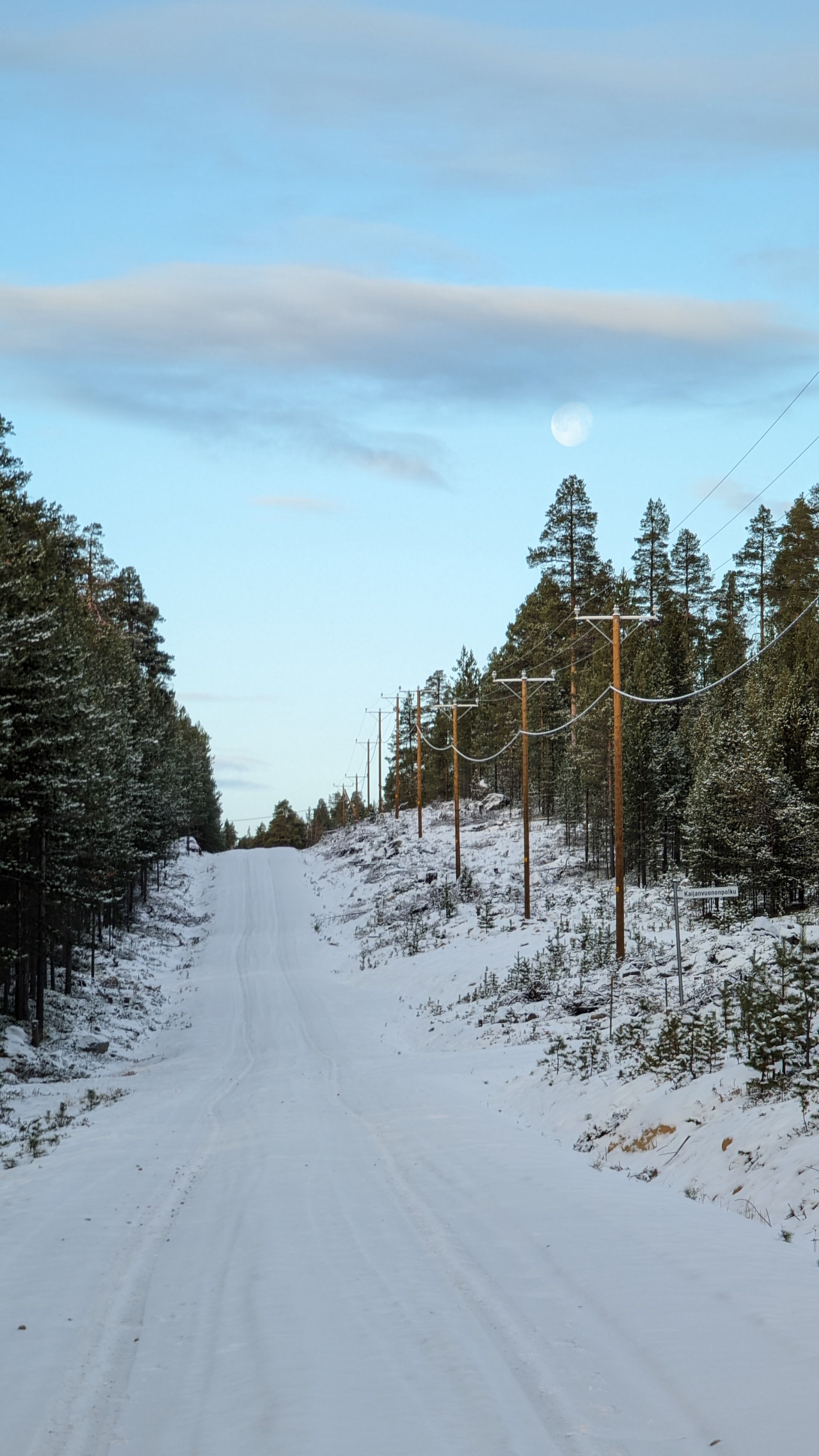 A snowy road with power lines and trees · Free Stock Photo