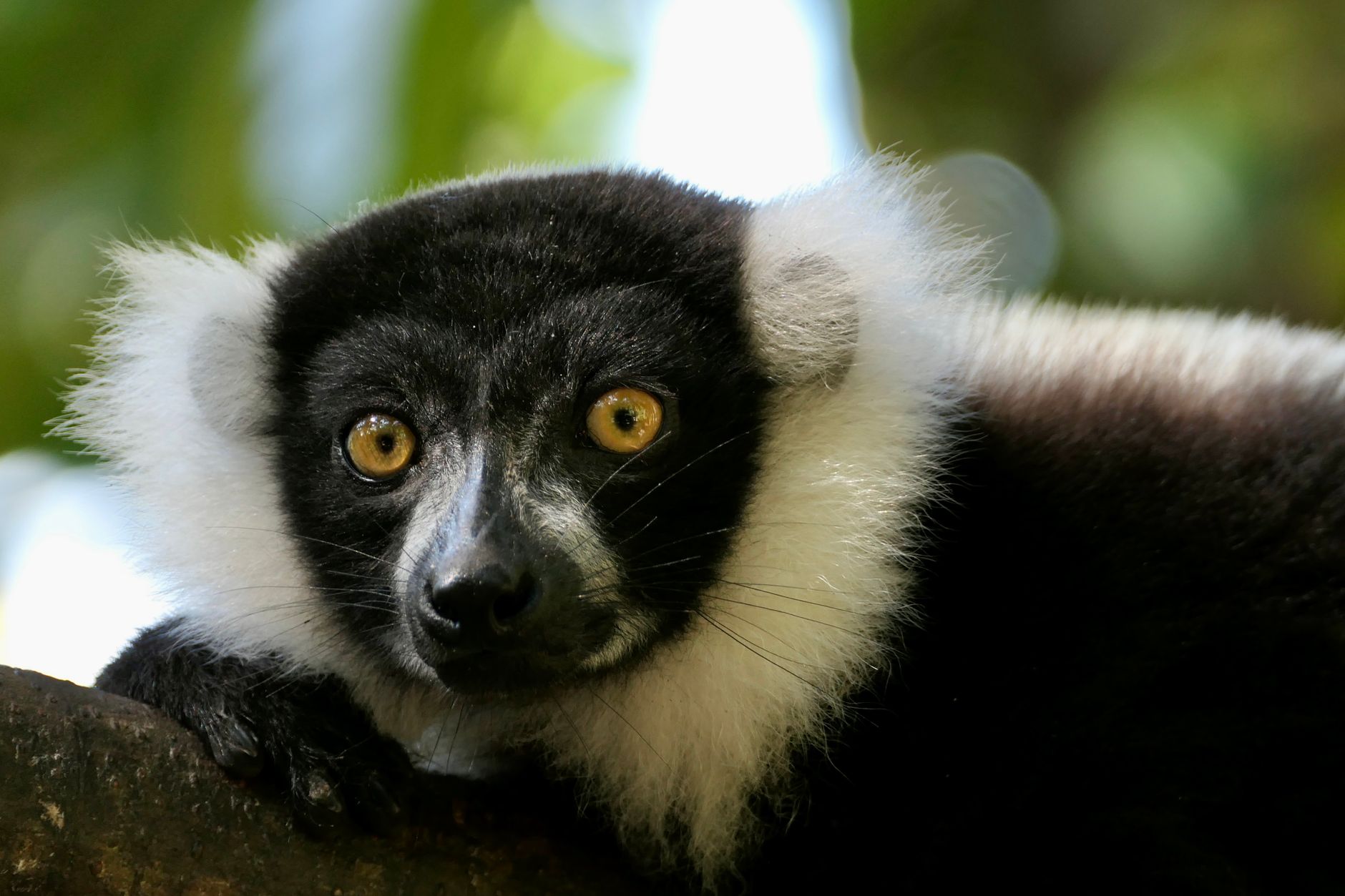 Madagascar, Madagascar