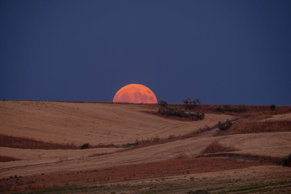 A stunning image of a blood moon rising over arid, desert hills under a twilight sky.