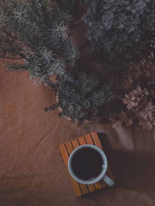 Free Artistic moody still life of coffee and plants on a wooden table. Stock Photo