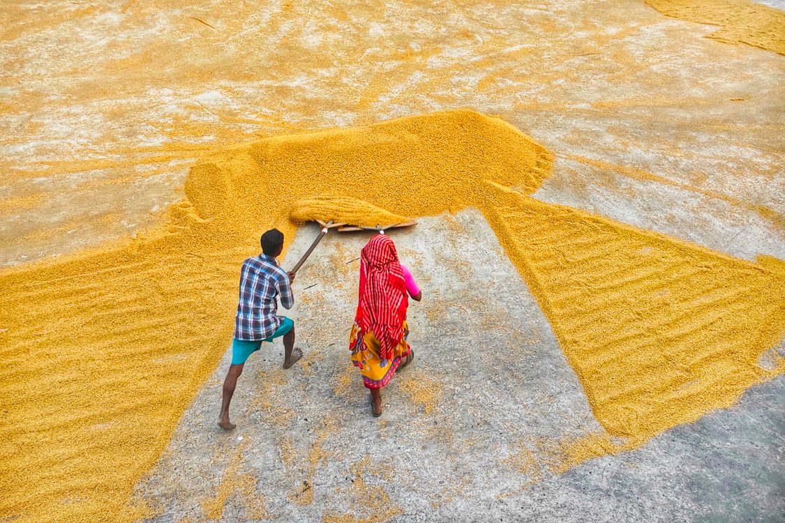 Rice mill 18. · Free Stock Photo
