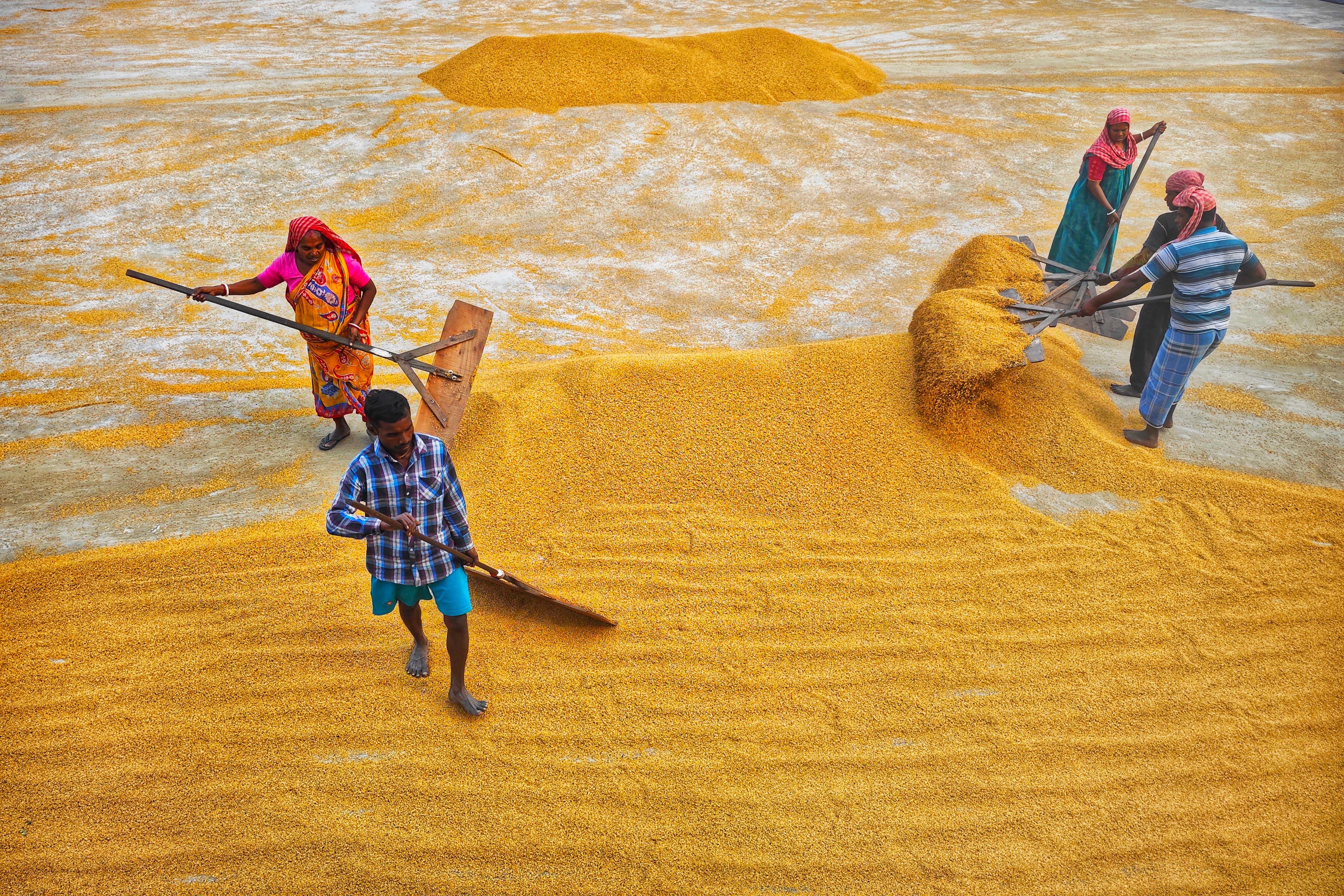 Rice mill 10. · Free Stock Photo