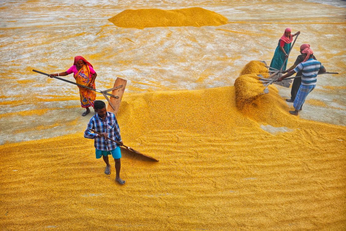 Rice mill 10. · Free Stock Photo