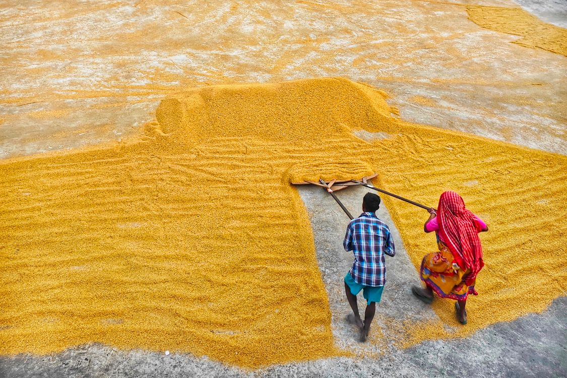 Rice mill 11. · Free Stock Photo