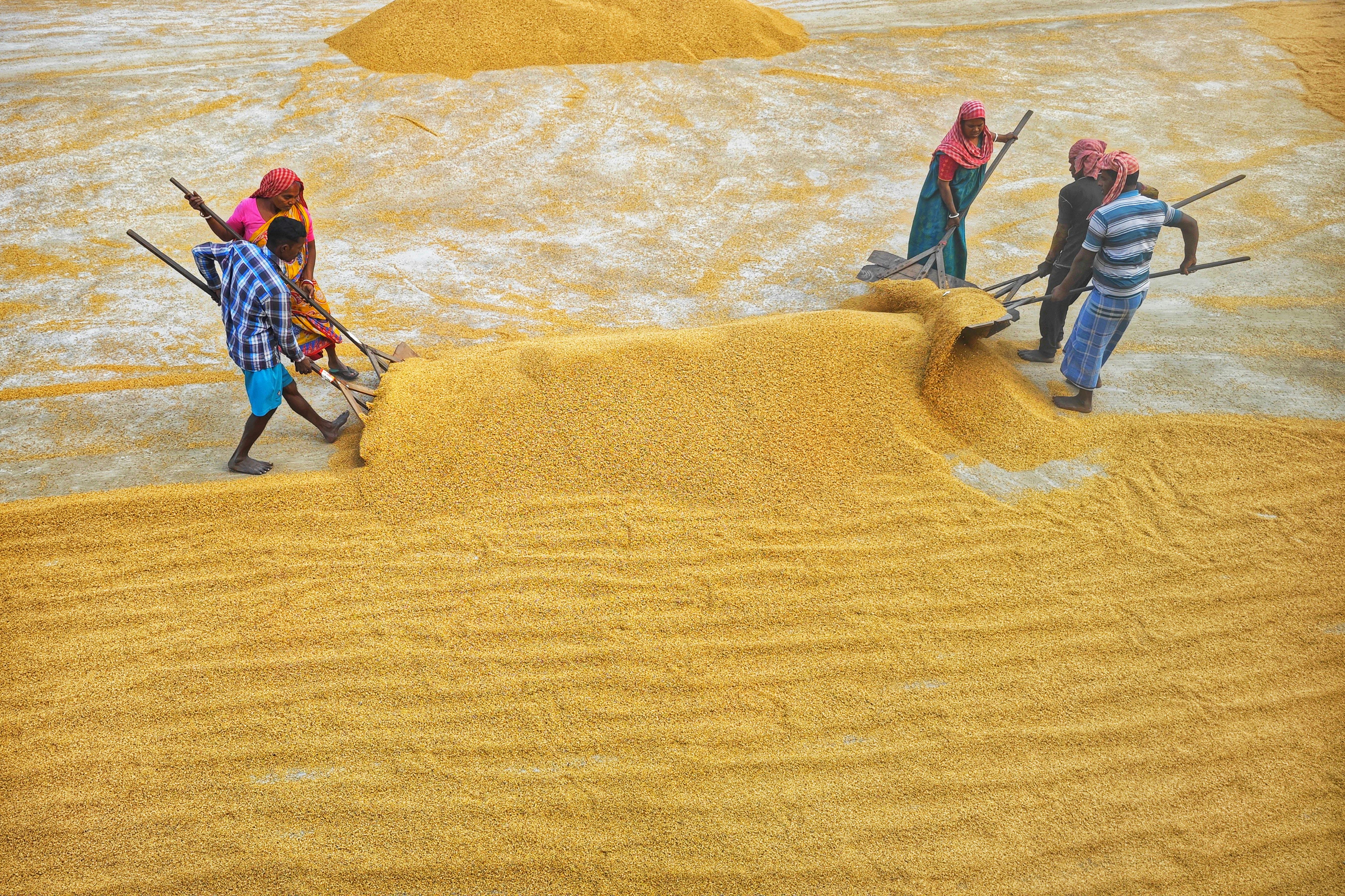 De franc Foto d'estoc gratuïta de a l'aire lliure, aeri, agricultura Foto d'estoc