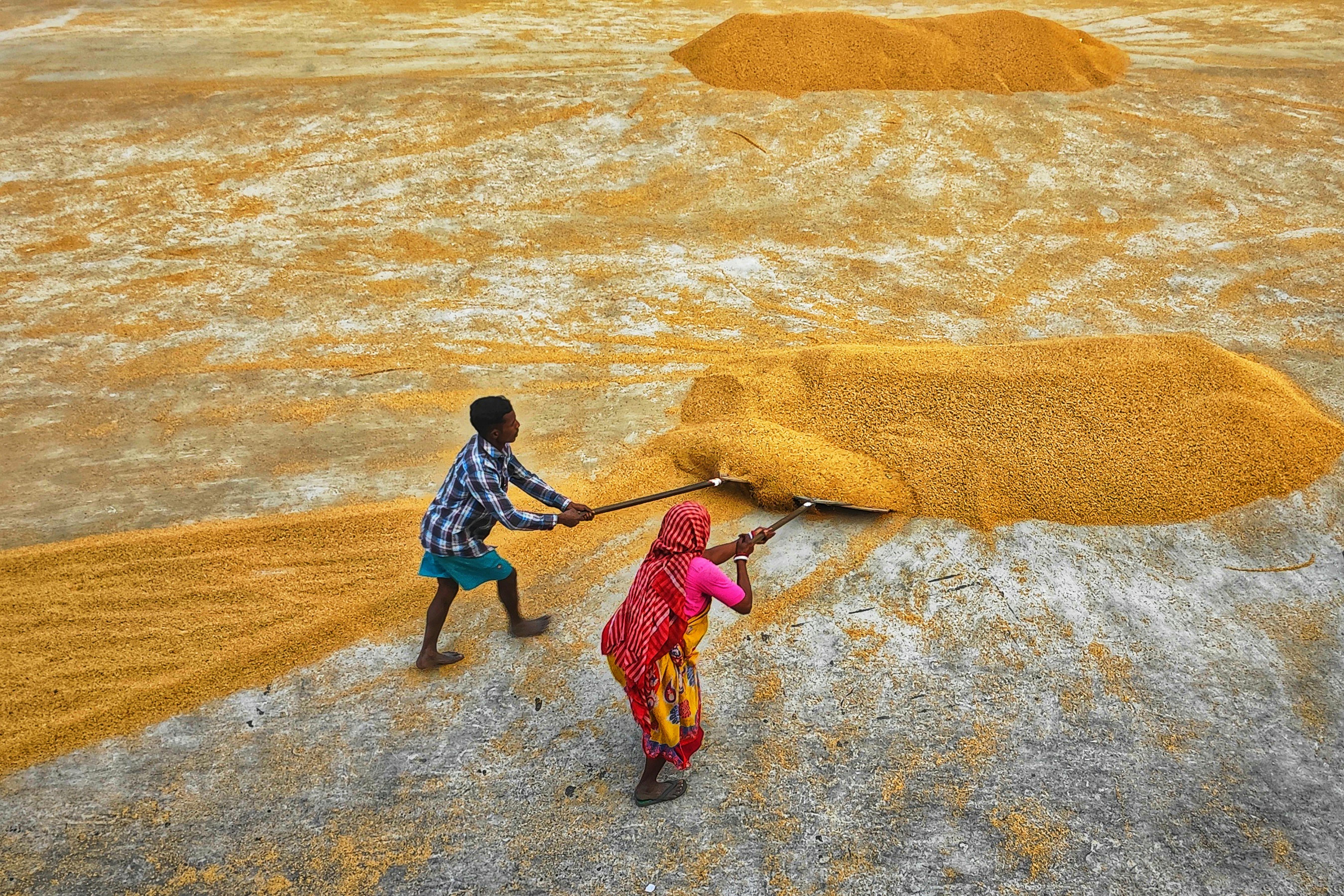 Gratis Fotos de stock gratuitas de adultos jovenes, aéreo, agricultura Foto de stock