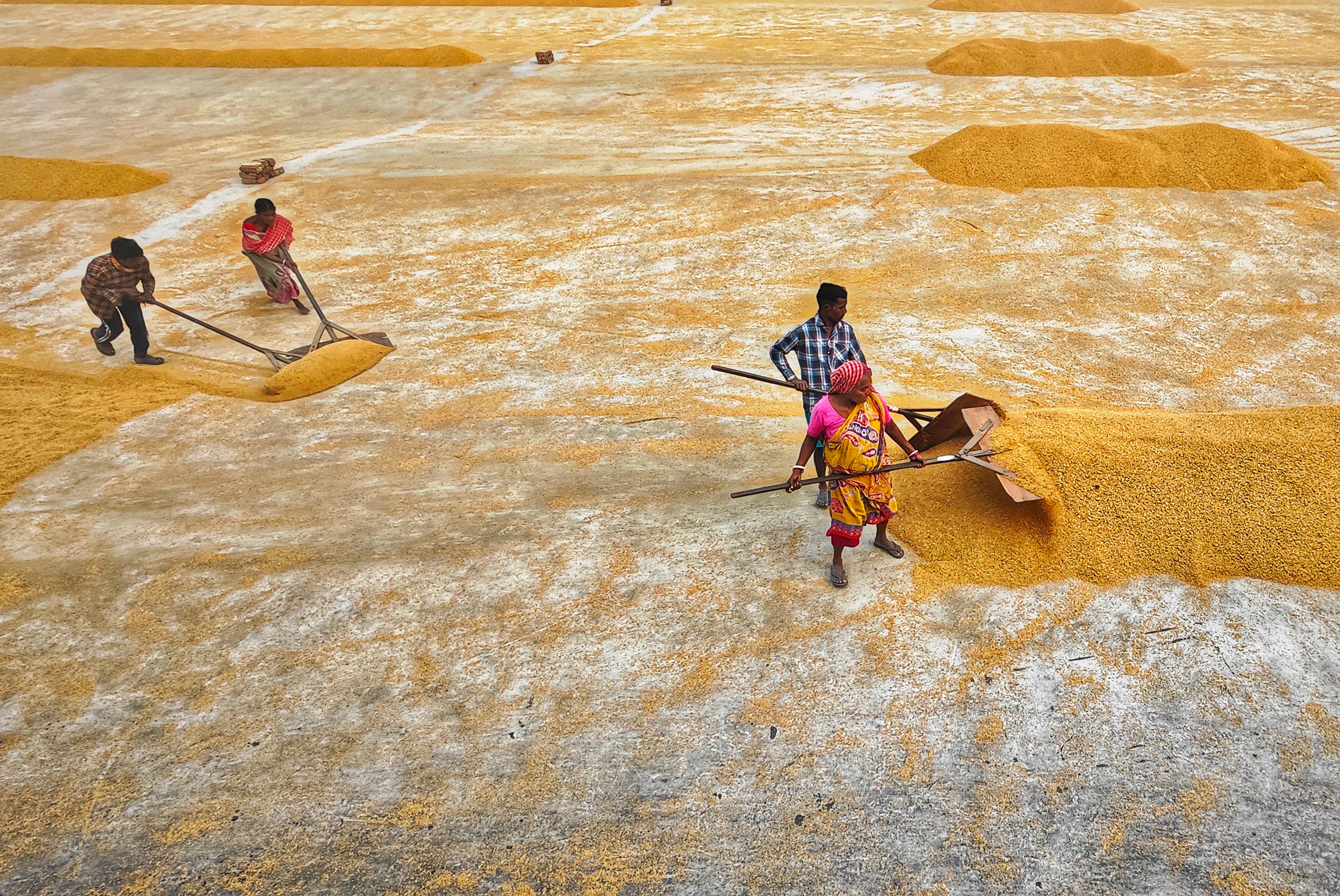 Rice mill 25. · Free Stock Photo