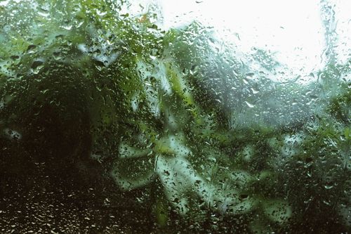 Free Atmospheric view of raindrops on a window with lush greenery in Abuja, Nigeria. Stock Photo