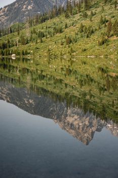 Serene reflection of mountains and trees in a tranquil lake in Jackson, Wyoming.