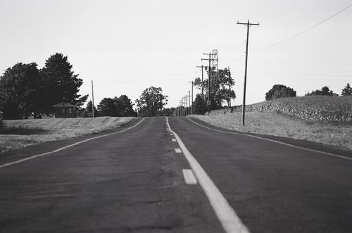Free A peaceful, empty rural road in a black and white winter landscape, featuring trees and electricity poles. Stock Photo