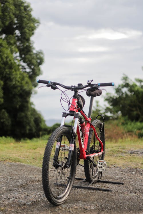 Knobby tires and great suspension are key elements of a mountain bike. Photo from Pexels.