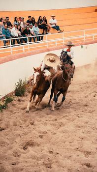 Vibrant rodeo scene capturing skilled horse riders in motion, evoking excitement and tradition.