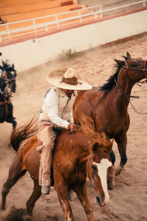 Free A cowboy rides a horse during a lively rodeo event, showcasing traditional equestrian skills. Stock Photo
