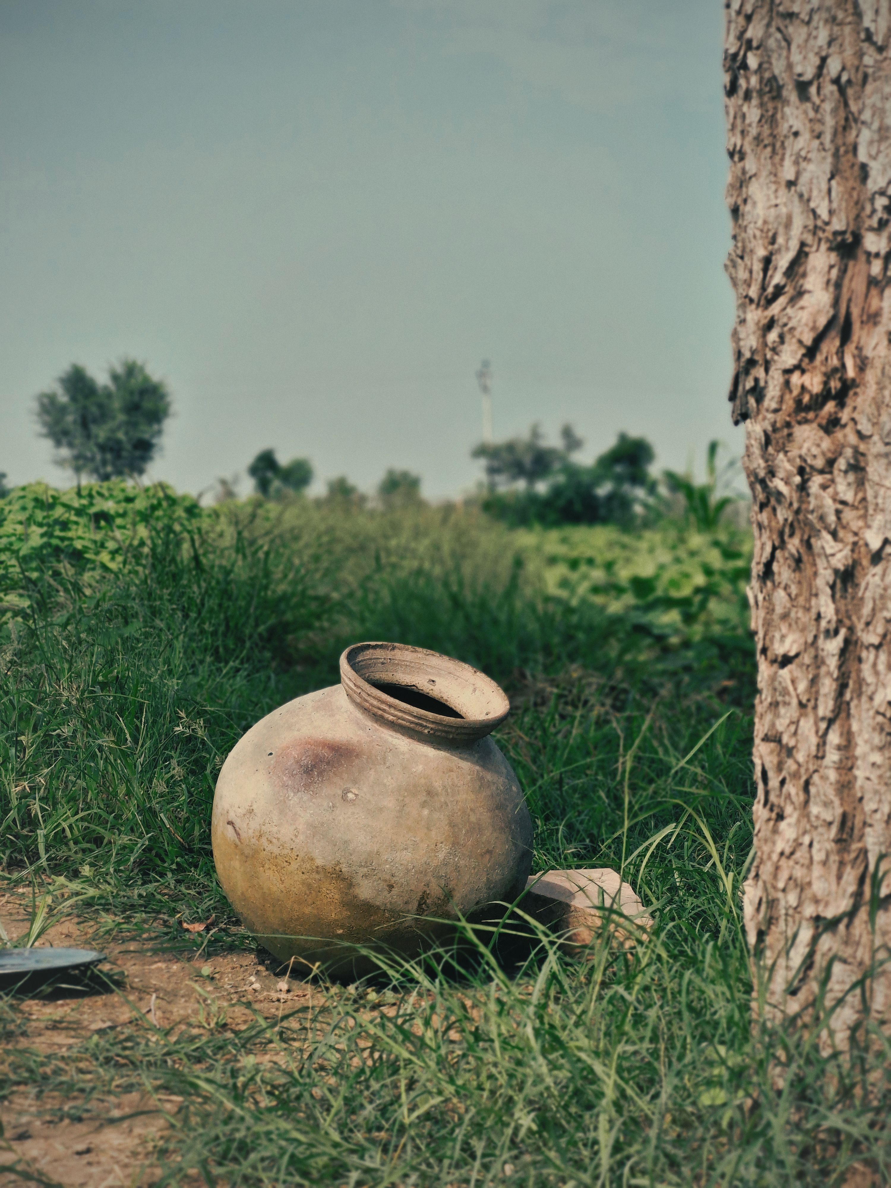 matki in farm · Free Stock Photo