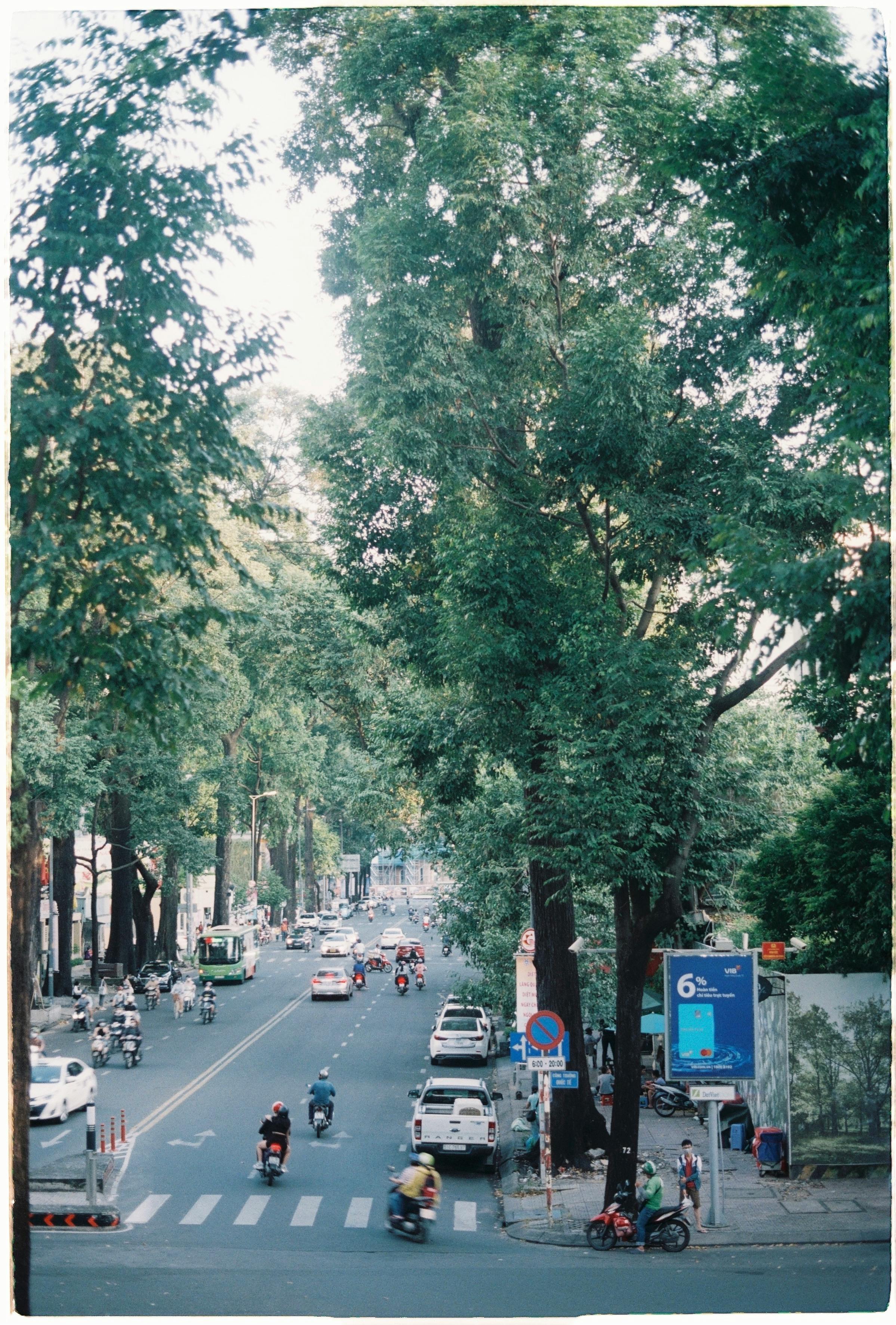 a street with trees and cars on it