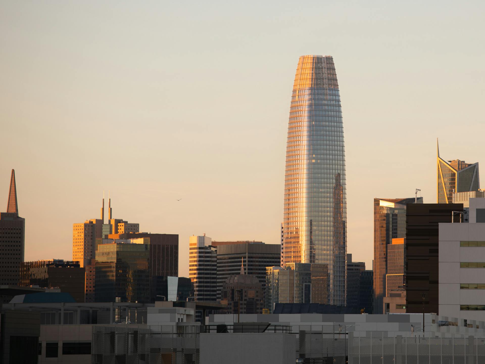 Salesforce Tower at Sunset