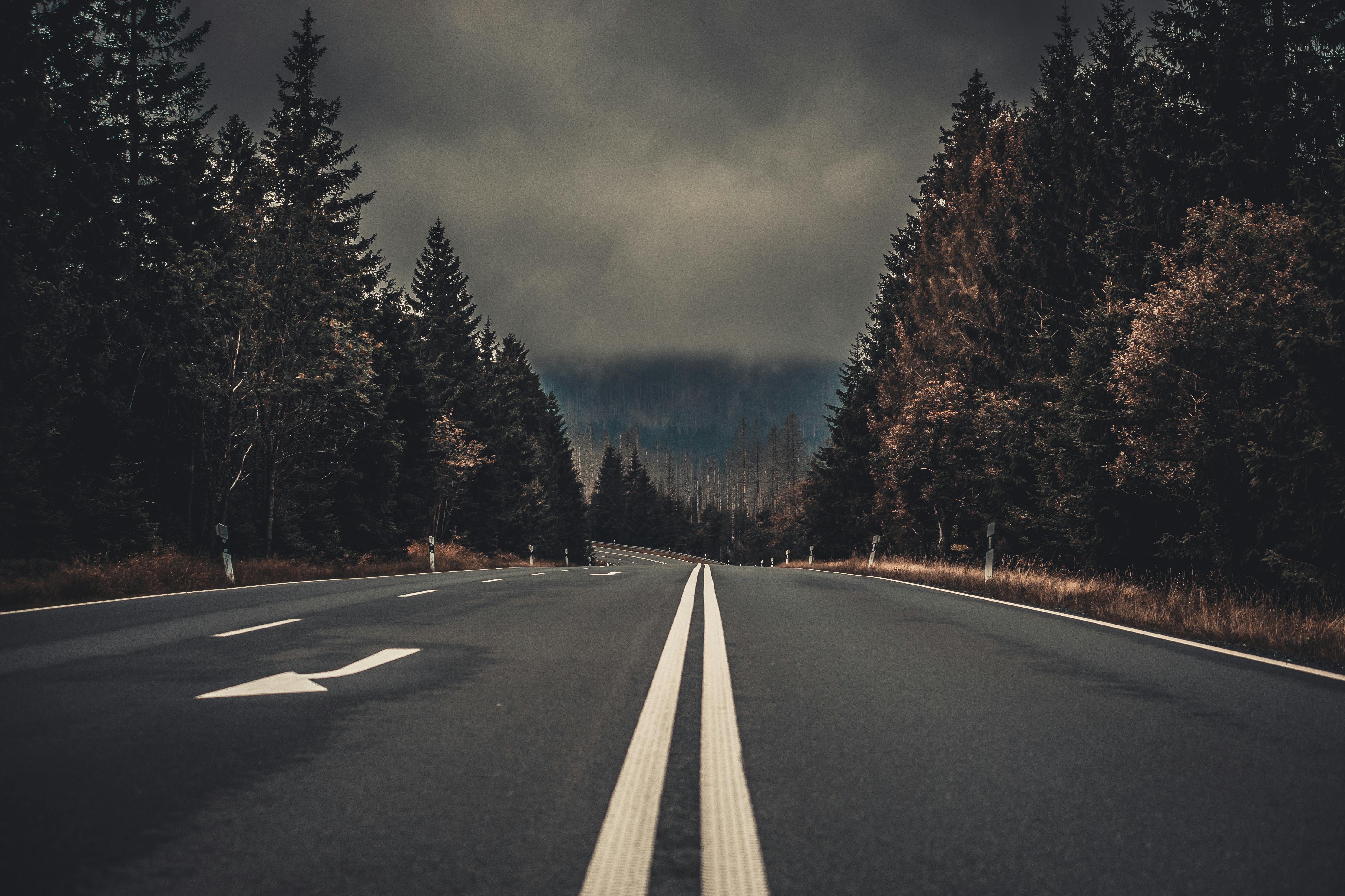 Mobile wallpaper: Trees, Turn, Road, Forest, Dark, Nature, 146812 download  the picture for free.