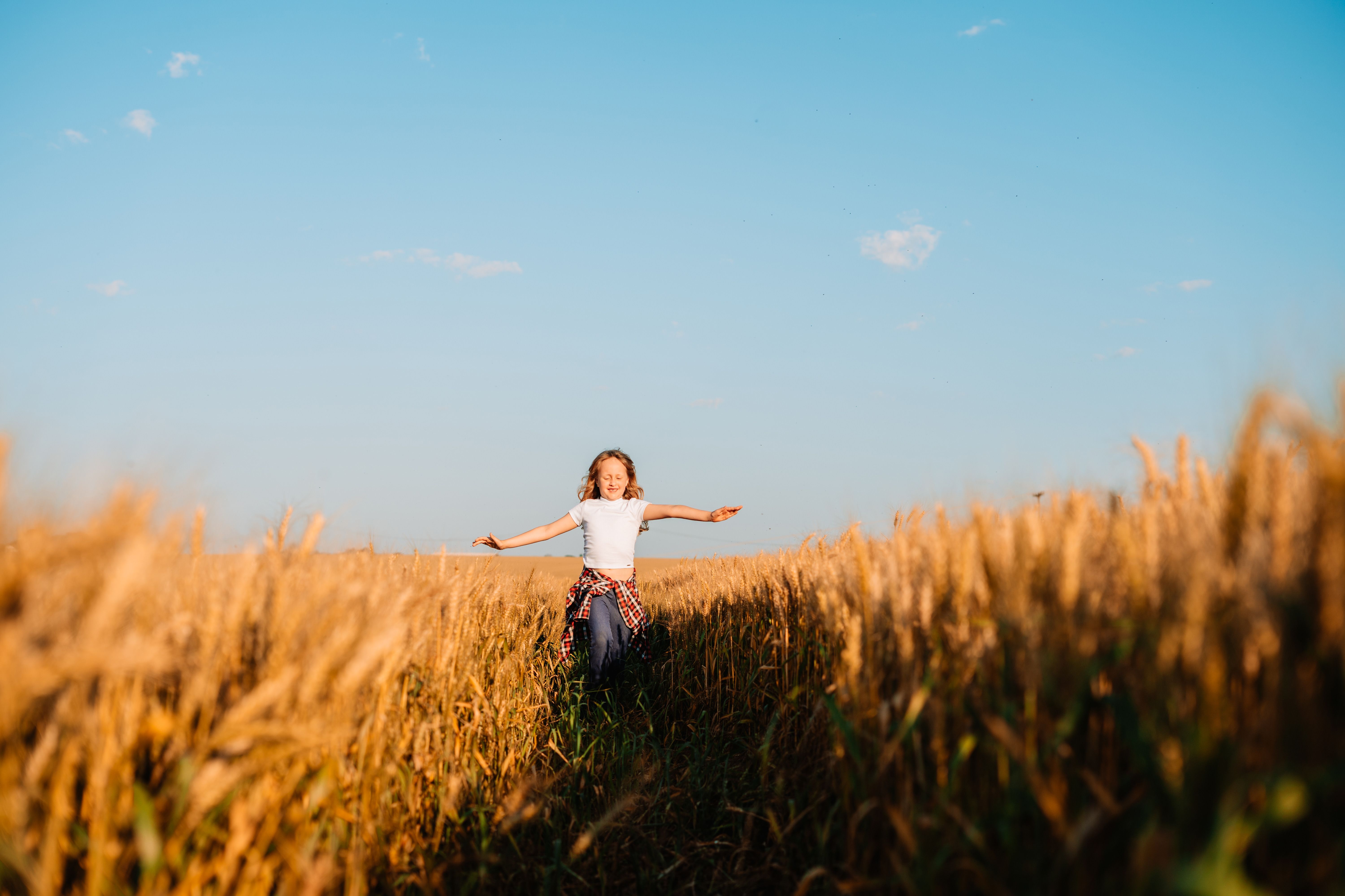 Artwork for Living in Freedom and Abundance: A Journey to Holistic Well-being