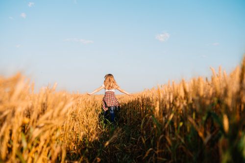 Free A young woman walks freely through a golden wheat field at sunset, embracing nature. Stock Photo