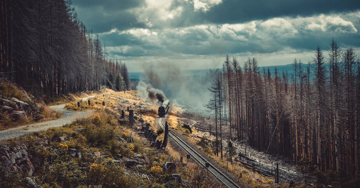 Comparatif des moyens de transport Canada vs Australie