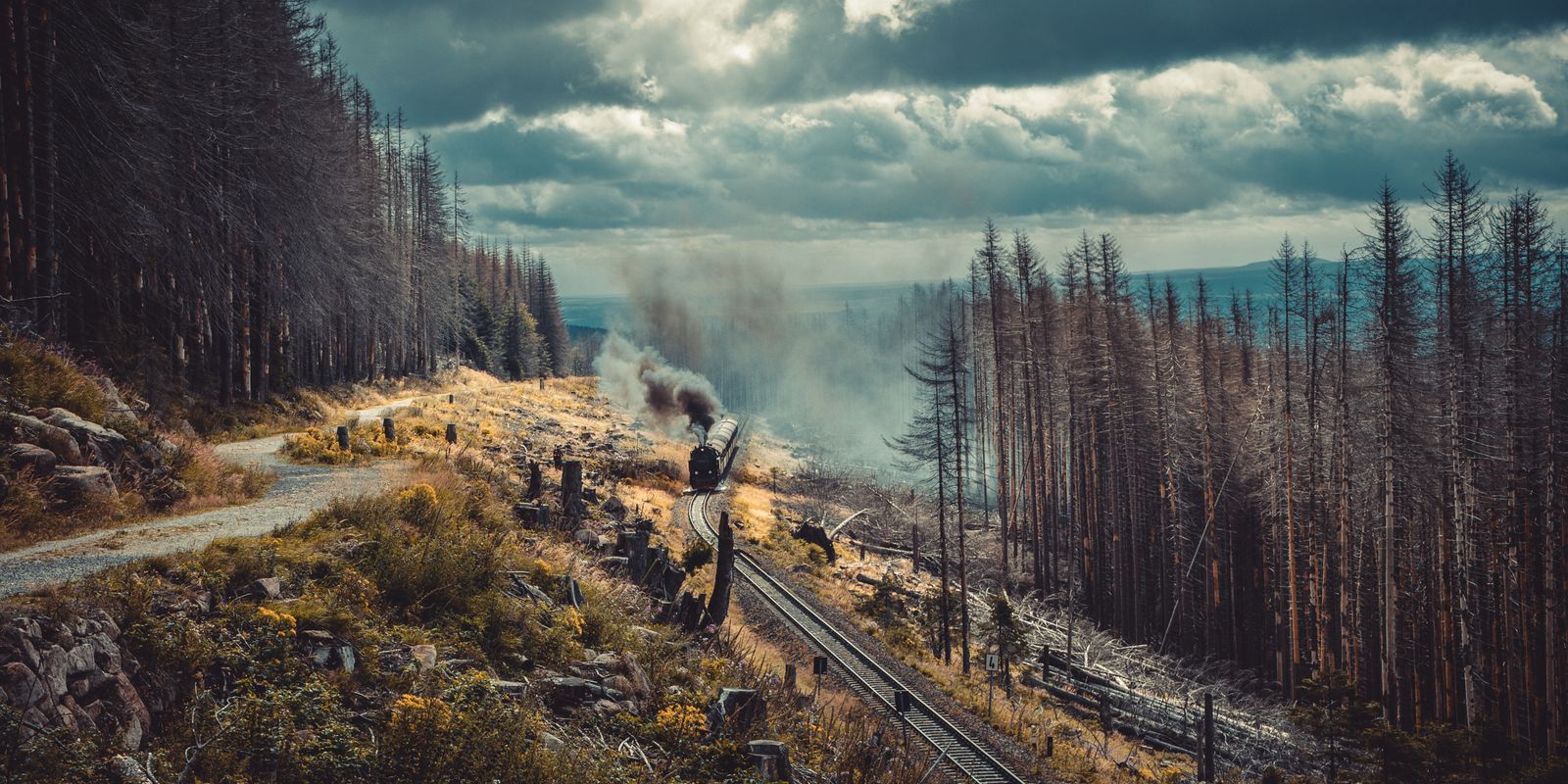 A steam train traveling through a misty forested mountain landscape