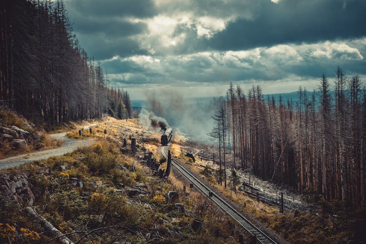 Embrace the Epic Views on the California Zephyr Route thumbnail