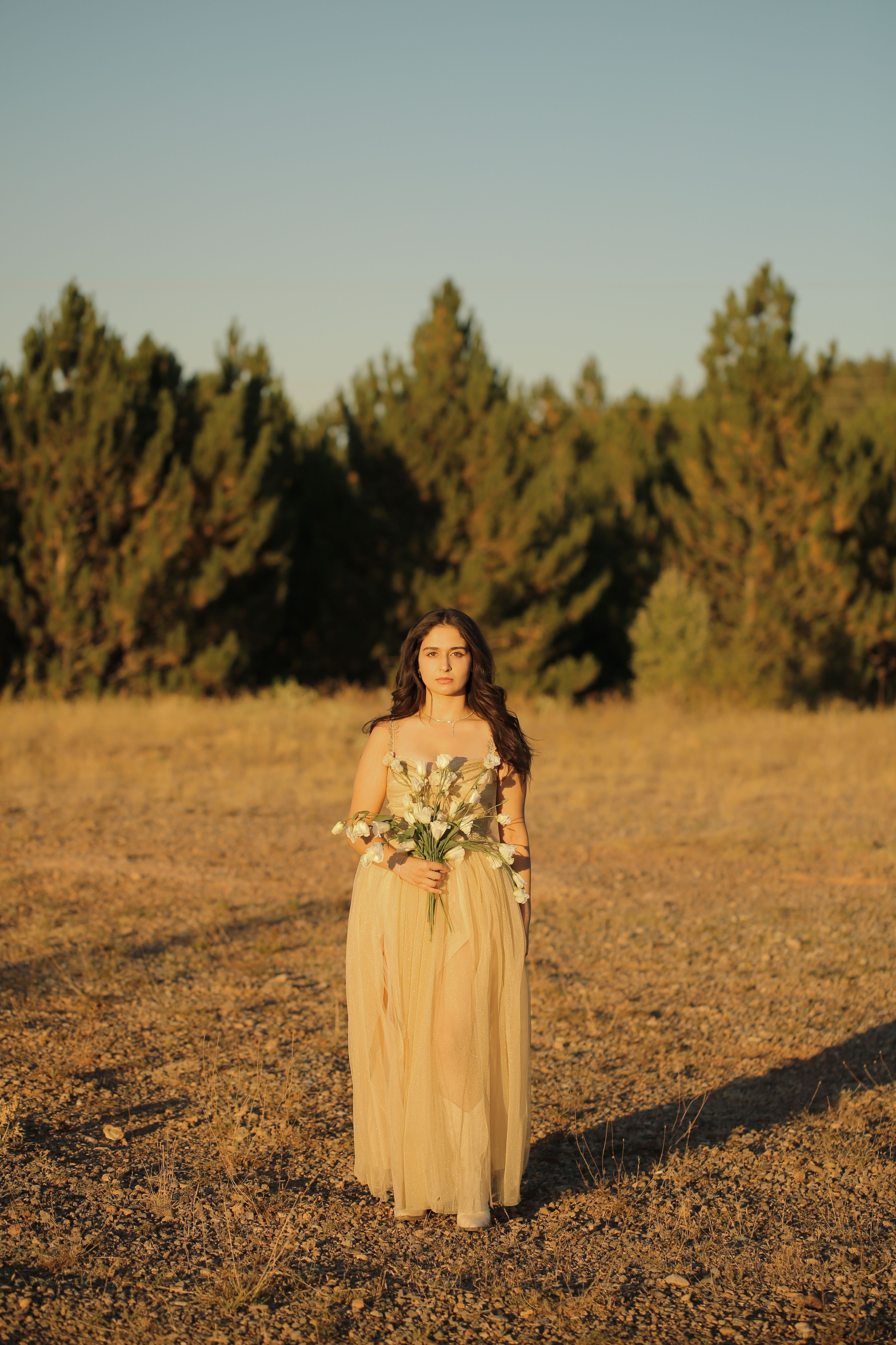 A woman in a gold dress standing in a field · Free Stock Photo