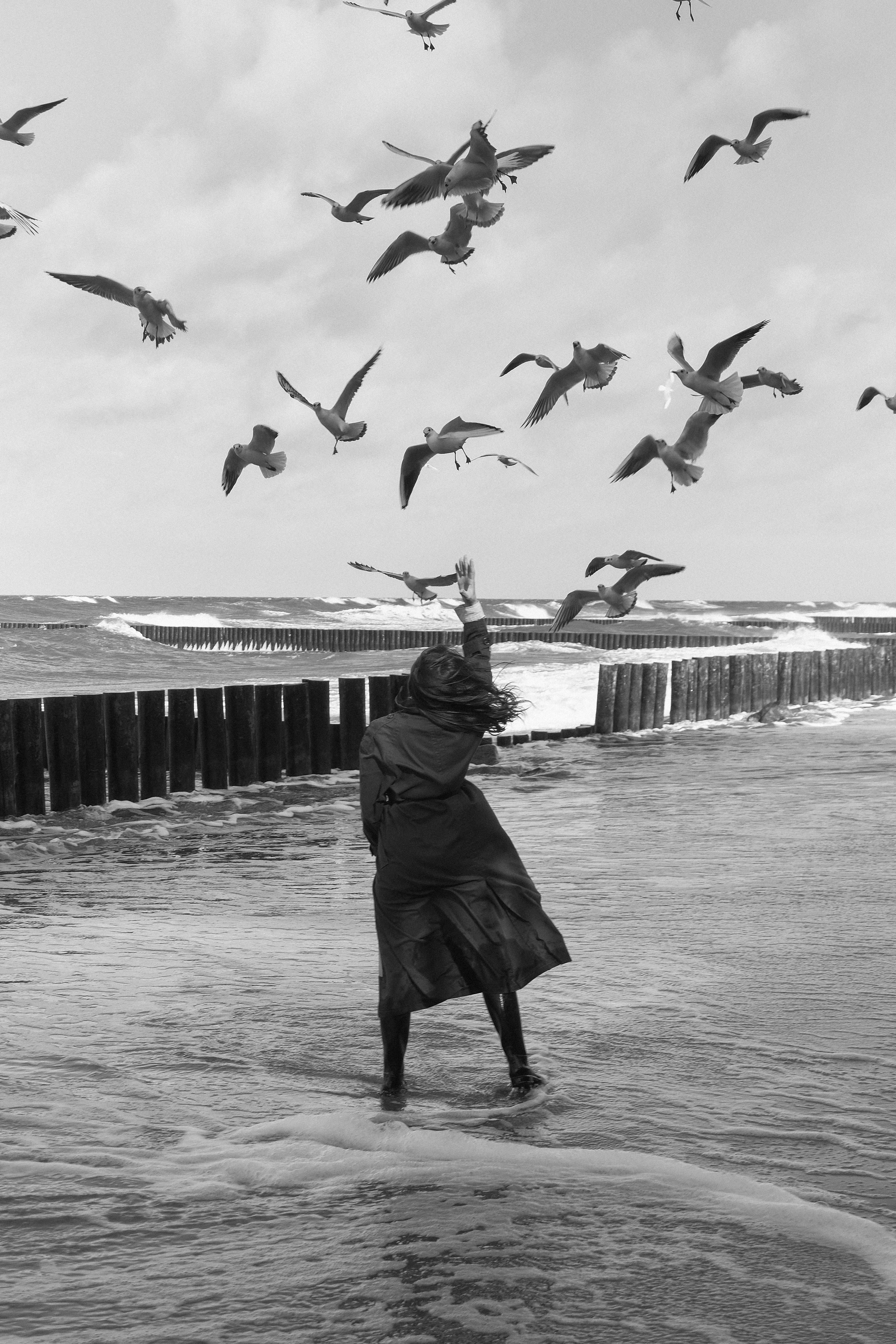 A woman is standing on the beach with birds flying around her · Free ...