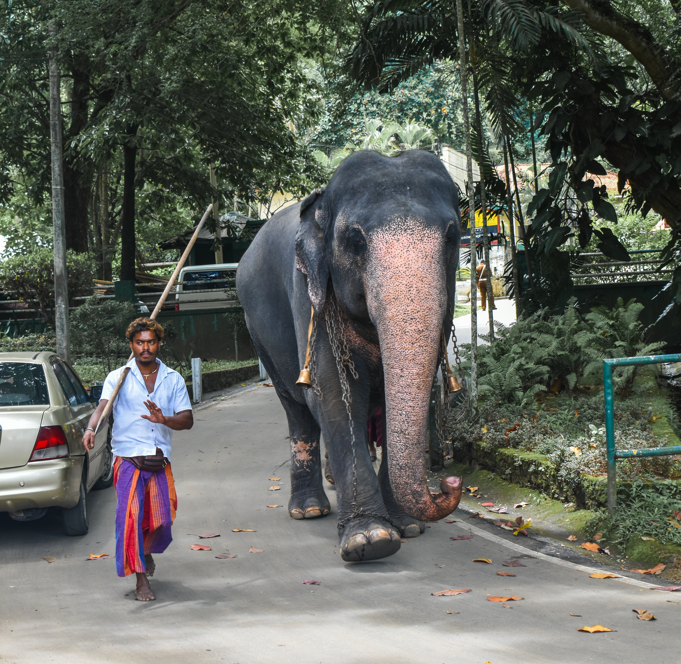 Best Area to Stay in Kandy Guide