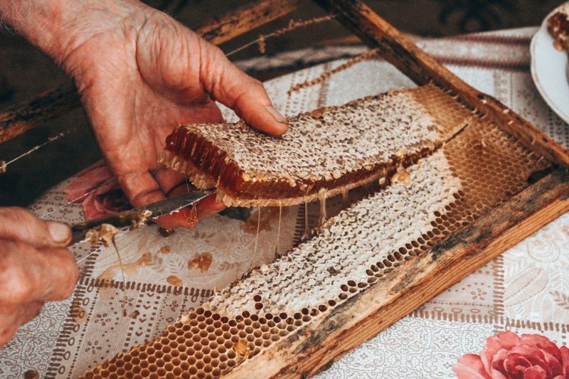 Close-up of hands cutting honeycomb from a frame. Rustic scene of fresh honey production.