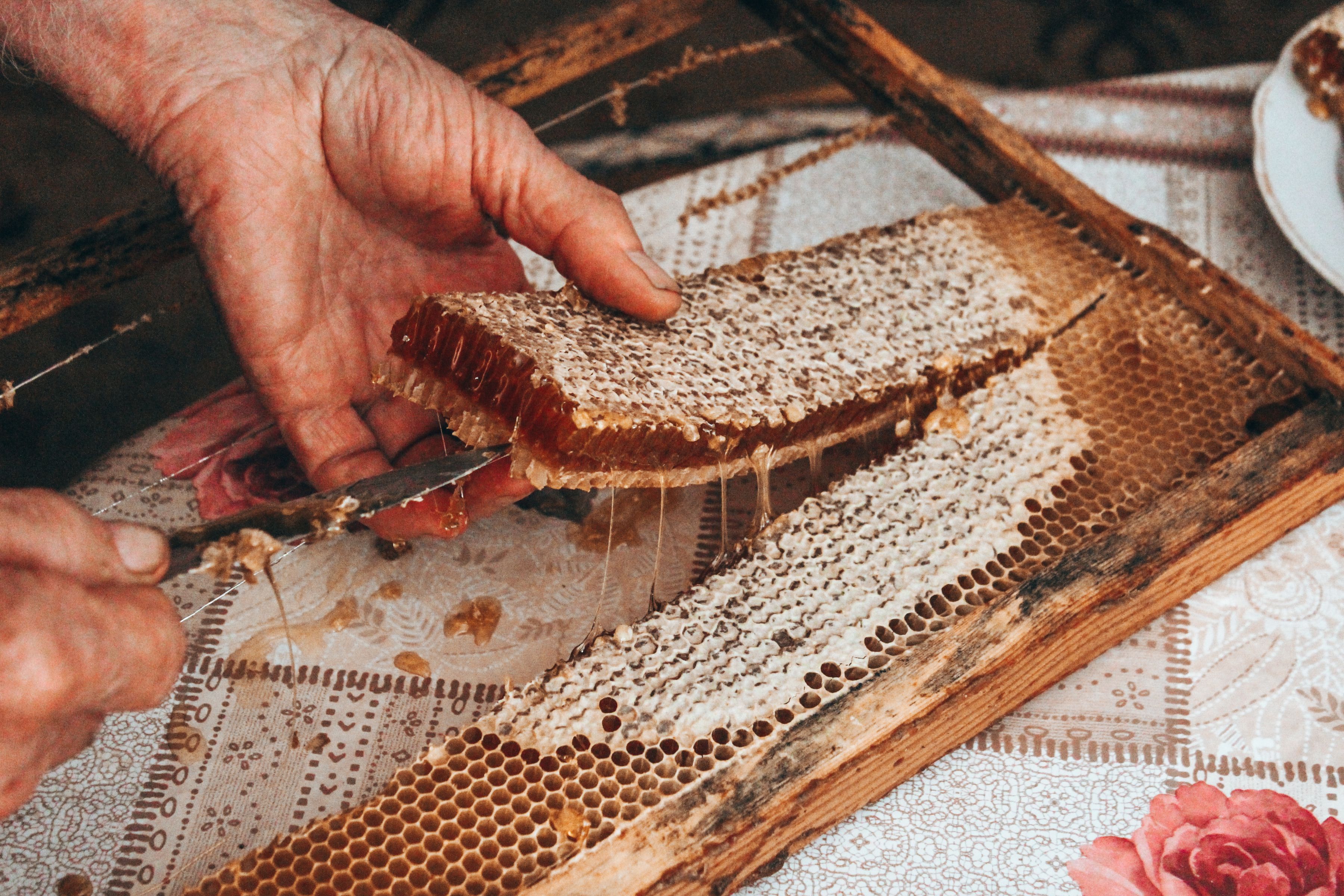Honeycomb Cutting Photos Download The Best Free Honeycomb Cutting