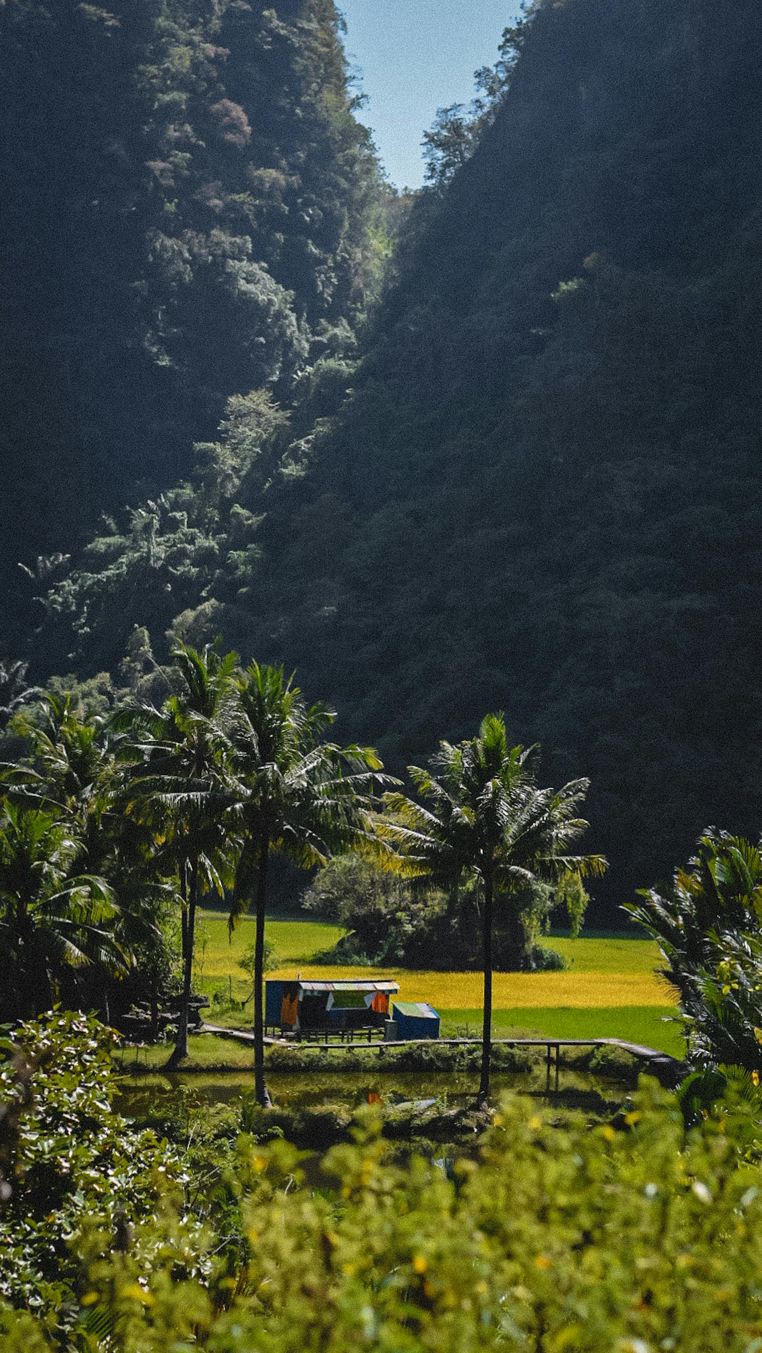 Tips Perjalanan ke Sulawesi Tenggara