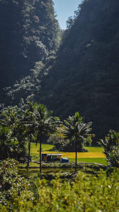 Free A vibrant valley in Sulawesi Selatan with tropical vegetation and scenic views. Stock Photo