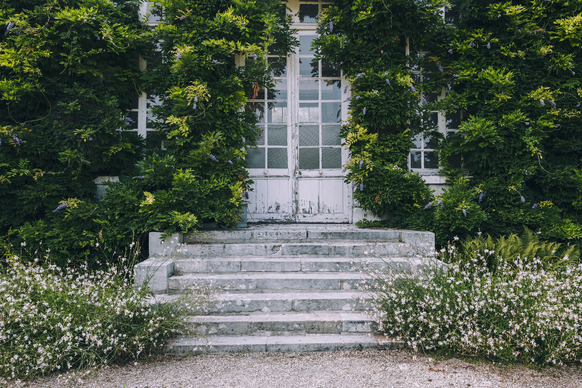 A picturesque garden entrance adorned with lush green wisteria in Rouen, France.