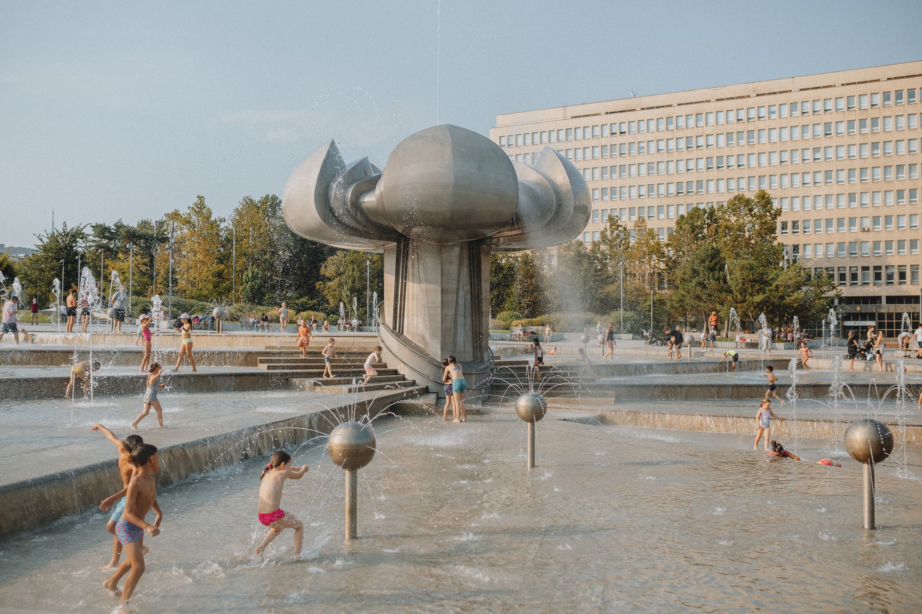 Organizarea eficientă pentru vara în Bacău