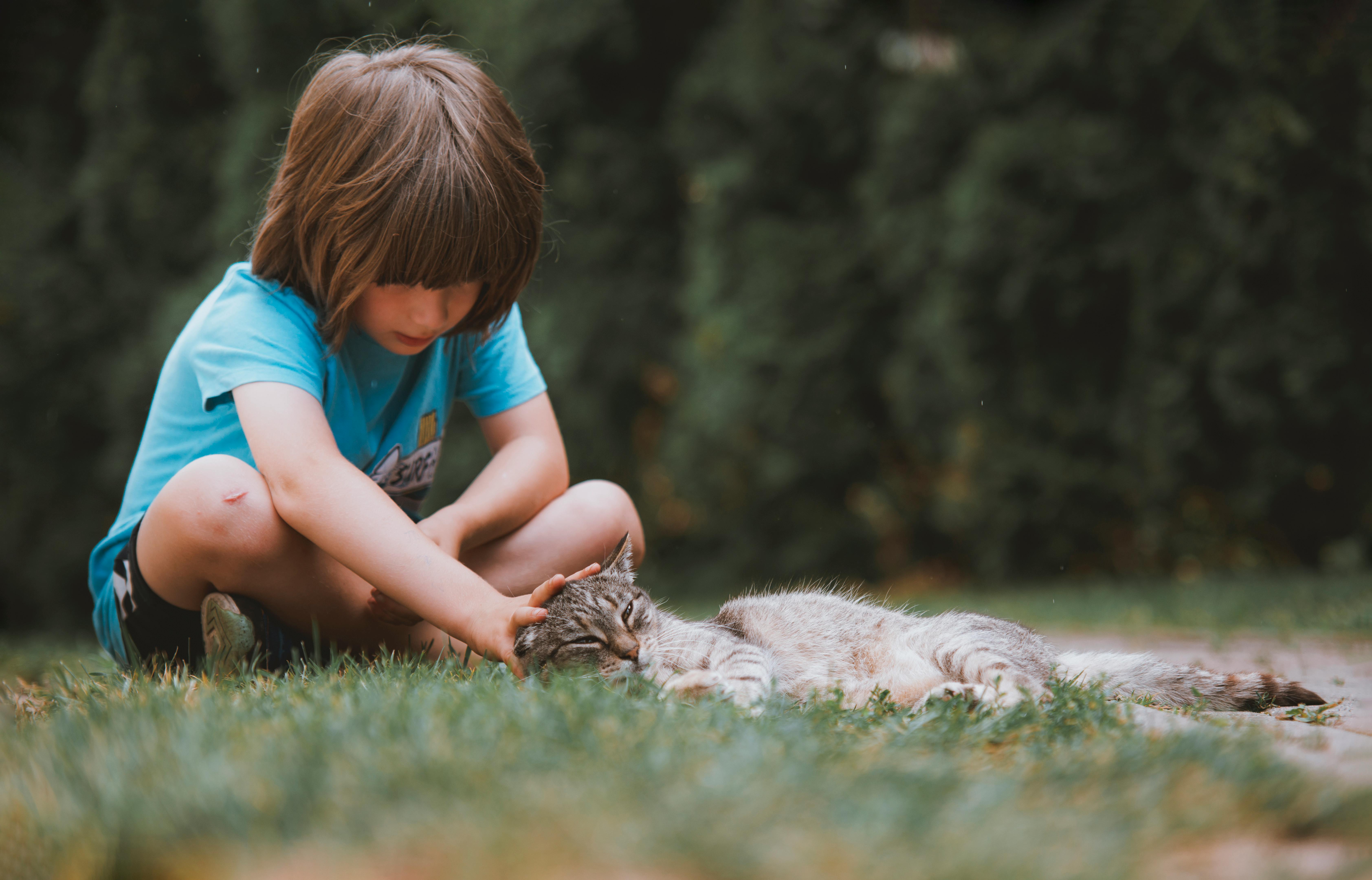 a young boy petting a cat in the grass