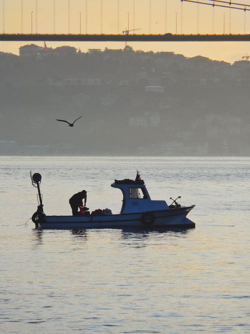 Free A lone fisherman working on a small boat silhouetted against the sunset with a bridge in the background. Stock Photo