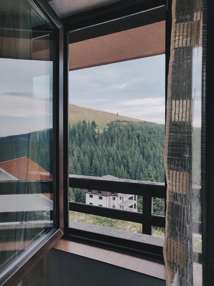 Window View Of Green Trees