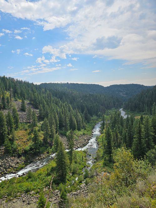 Free Explore a lush conifer forest with a meandering river under a bright summer sky. Stock Photo