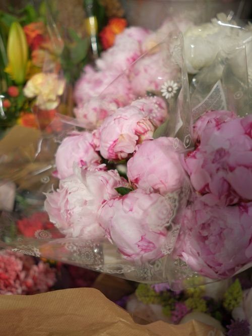 Free Vibrant pink peony bouquets wrapped in delicate paper, showcasing floral elegance for weddings or events. Stock Photo